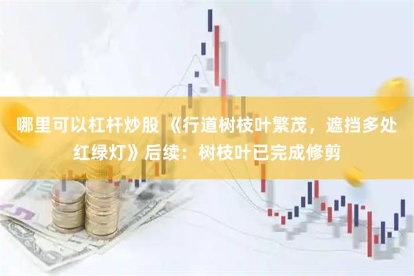 哪里可以杠杆炒股 《行道树枝叶繁茂，遮挡多处红绿灯》后续：树枝叶已完成修剪