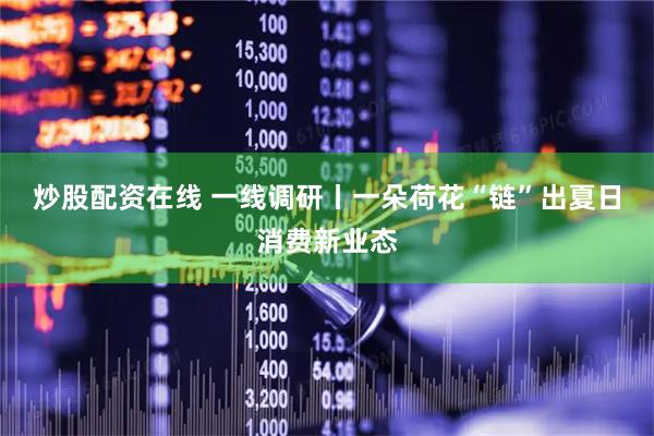 炒股配资在线 一线调研丨一朵荷花“链”出夏日消费新业态